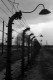 Alambradas del campo de concentracion nazi de Auschwitz II. Polonia, Europa. Wire fences at Nazi Concentration Camp of Auschwitz II. Poland, Europe.